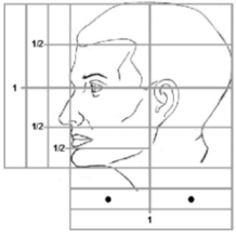 Visão de Perfil - Fig. B